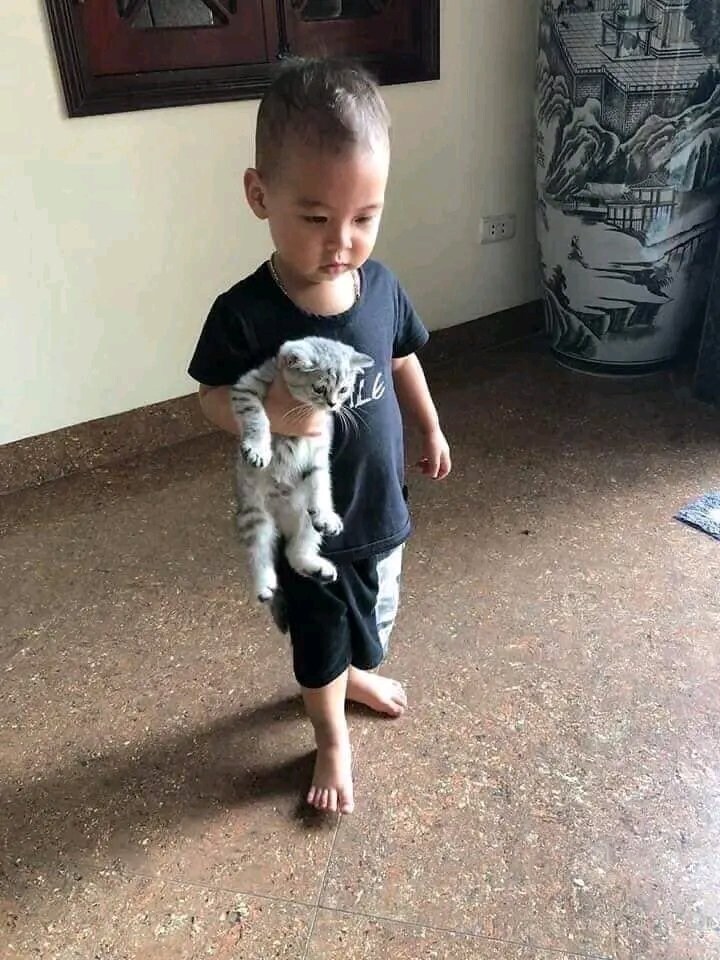고양이: 넌 어떻게 된게 성장이 느리냐? _1.jpg