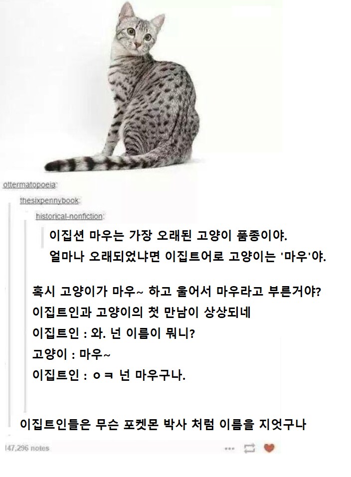 이집트인들이 고양이 이름을 지은 방법_1.png