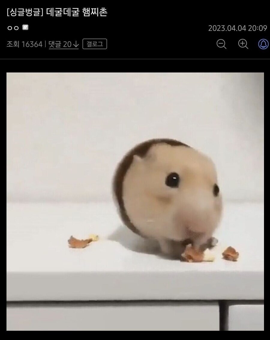 귀염귀염 햄스터ㅋㅋ_1.png