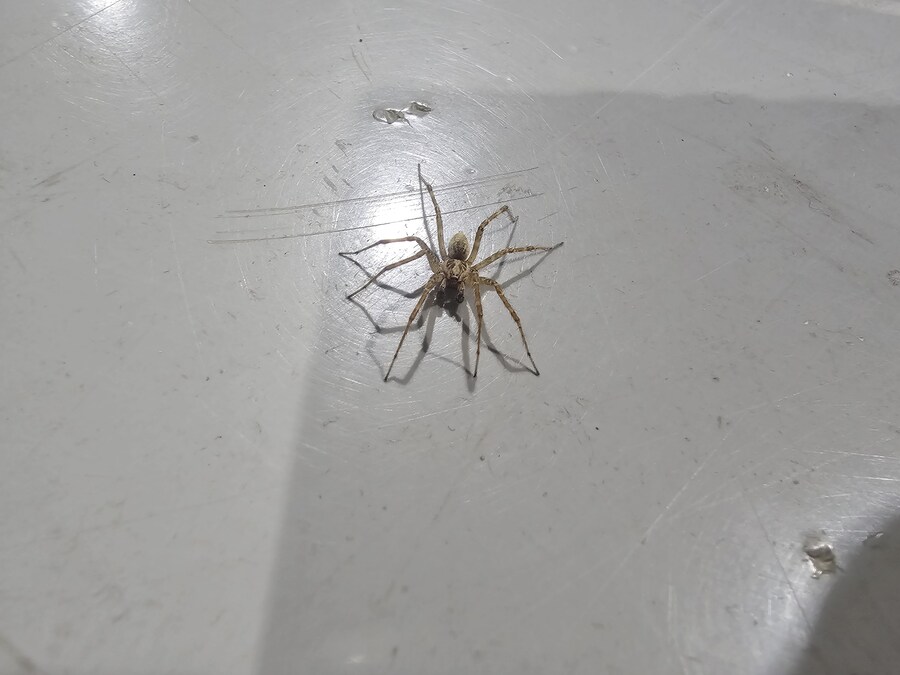 생전 30초전의 모습입니다_2.jpg