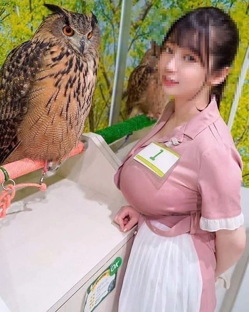 정말 큰 올빼미 사진_1.webp