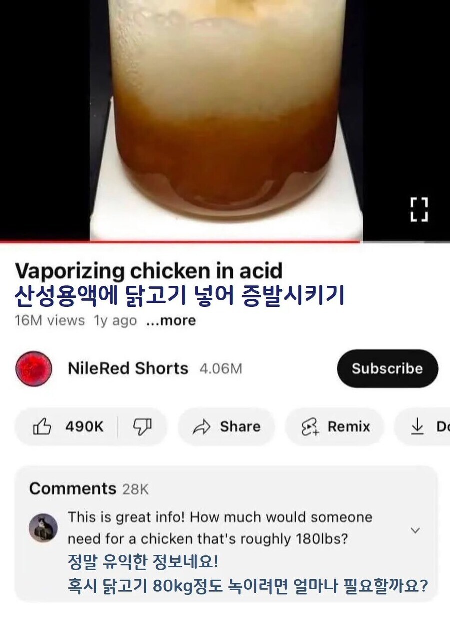 산성용액에 닭고기 넣어 녹이기.jpg_1.jpg