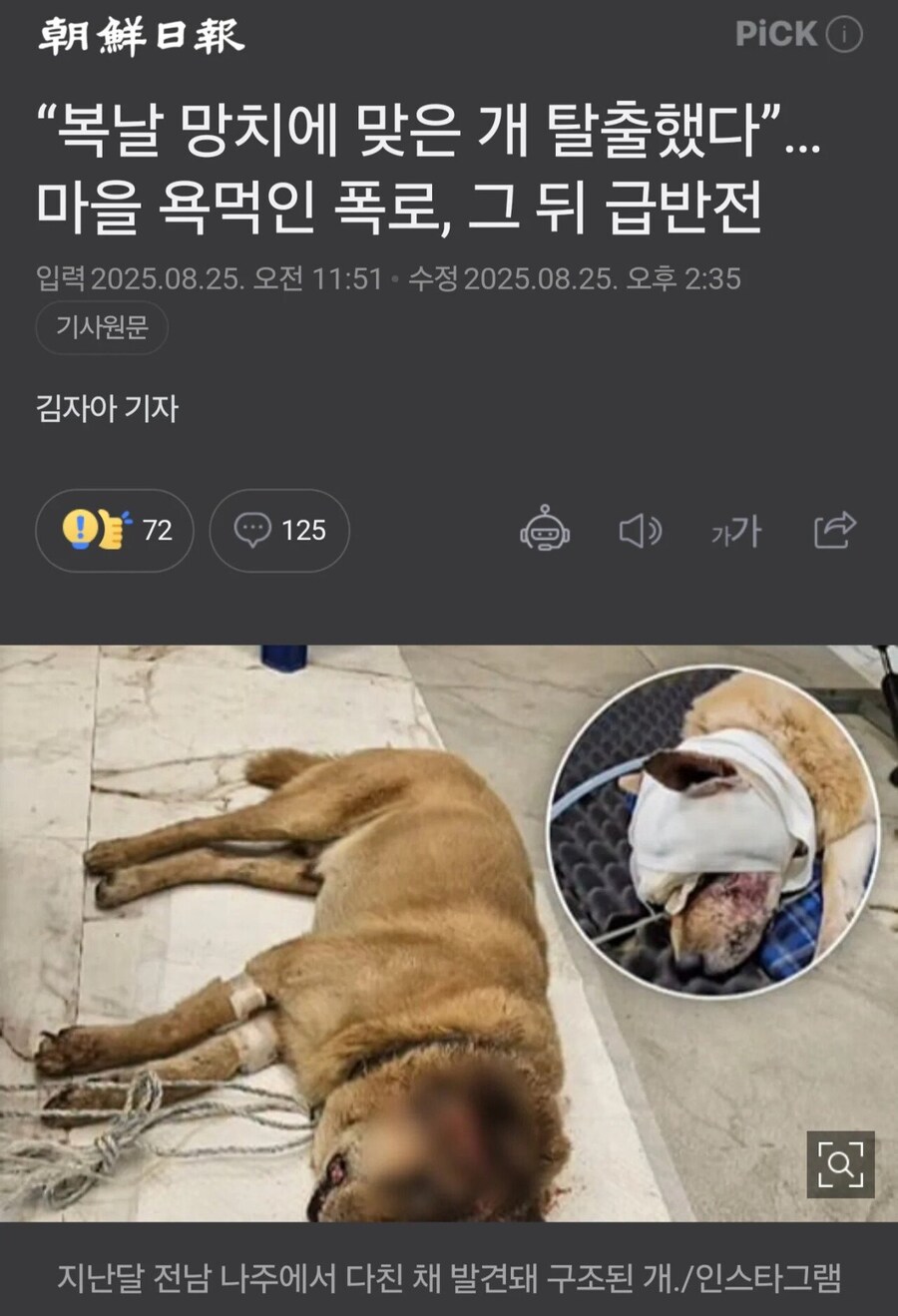 동물단체