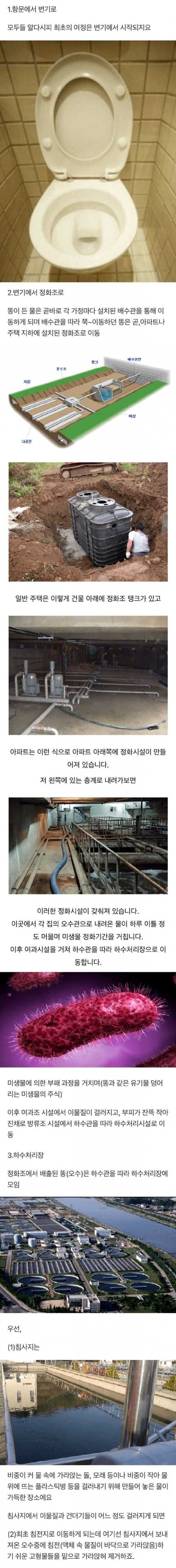 우리가 싼 똥은 어디로 가나.jpg_1.jpg