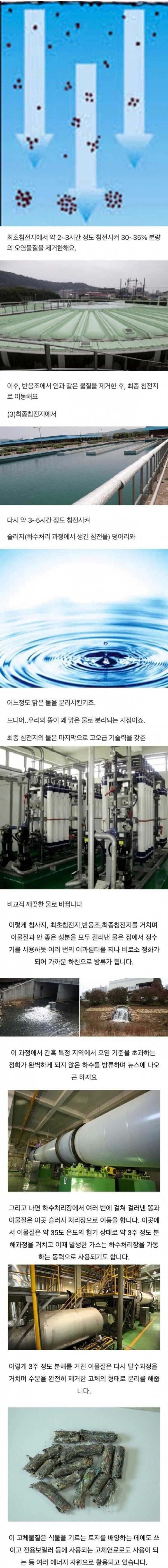 우리가 싼 똥은 어디로 가나.jpg_2.jpg