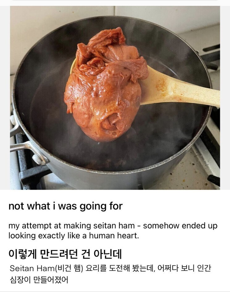 비건햄을 만들다가 실패한 결과.jpg_1.jpg