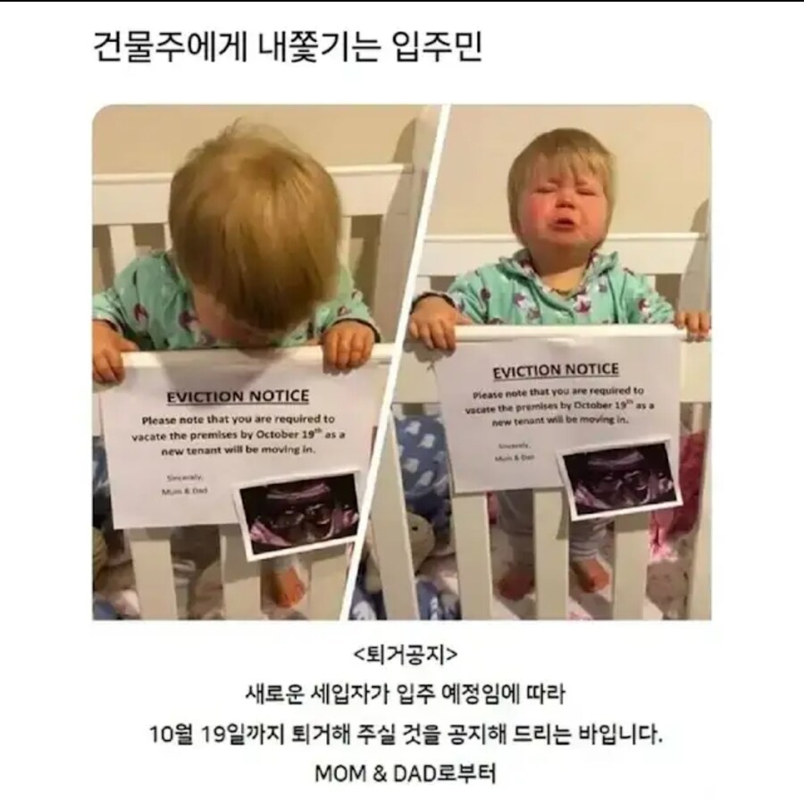 건물주에게 강제로 내쫒기는 입주민_1.jpg