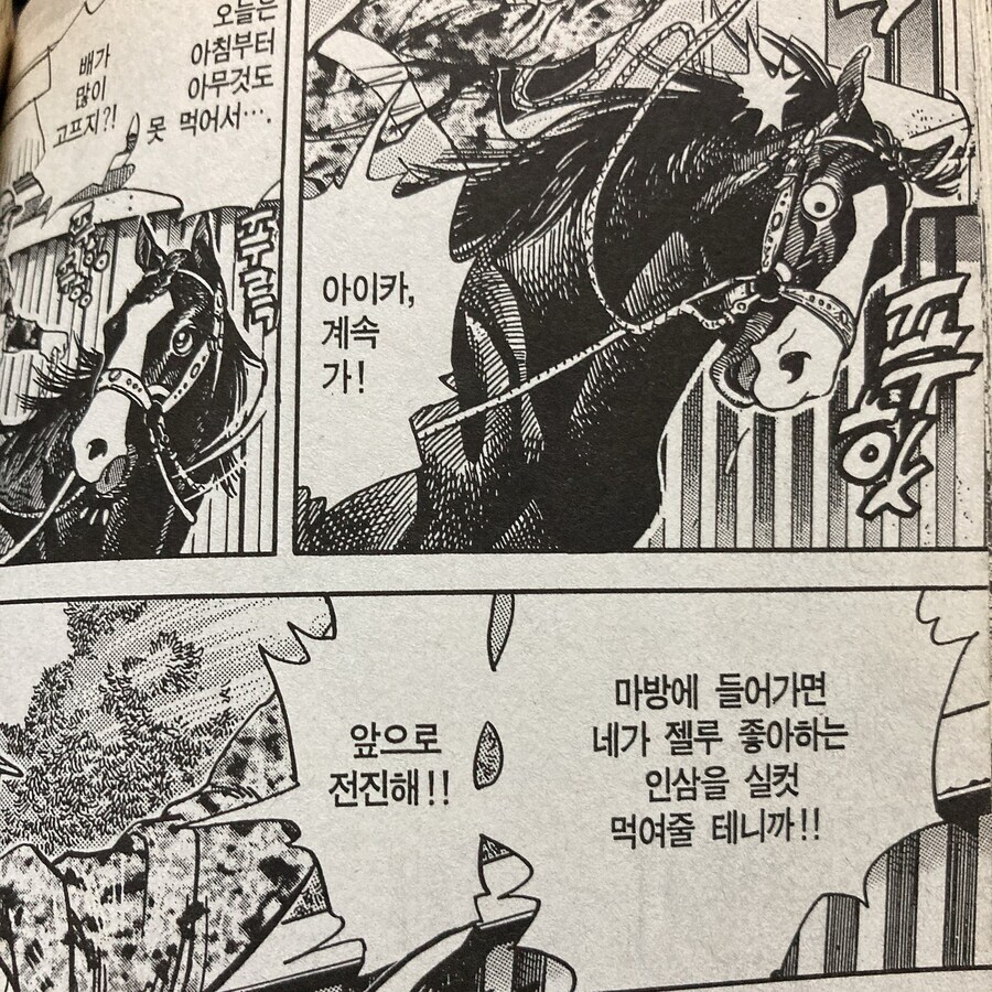 당근을 인삼이라고 번역하기 VS_1.jpg