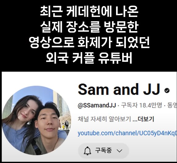 케데헌보고 한국 온 관광객이 느낀 한국의 문제점_1.png