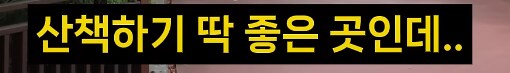 케데헌보고 한국 온 관광객이 느낀 한국의 문제점_6.png