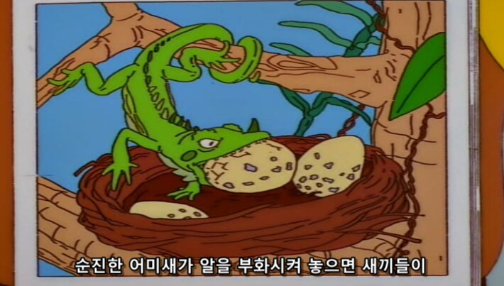 인류가 생태계 균형을 강제로 조절하려 하면 안되는 이유_10.png