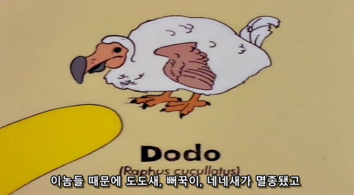 인류가 생태계 균형을 강제로 조절하려 하면 안되는 이유_12.png