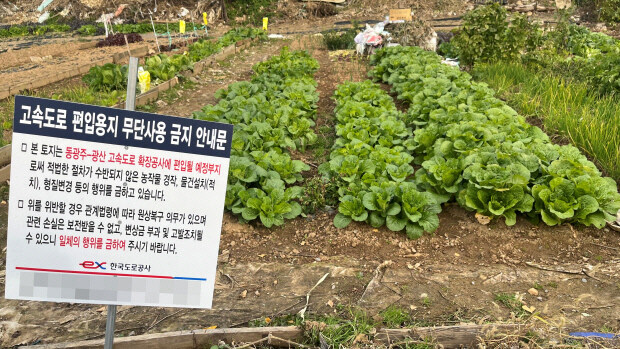 한국 쌀 이외 식량자급률이 3% 정도 유지되는 이유. JPG_1.jpg