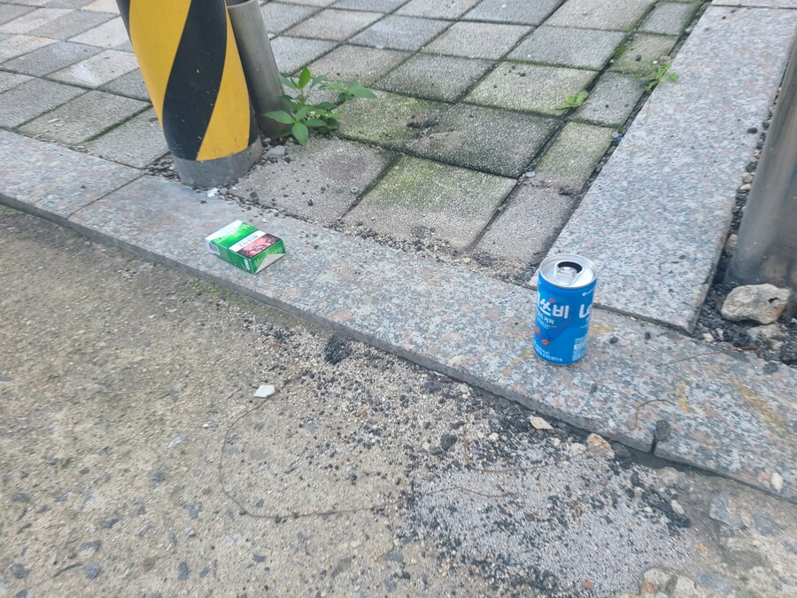 레쓰비는 우리 인생에서 어떤 존재일까_1.jpg