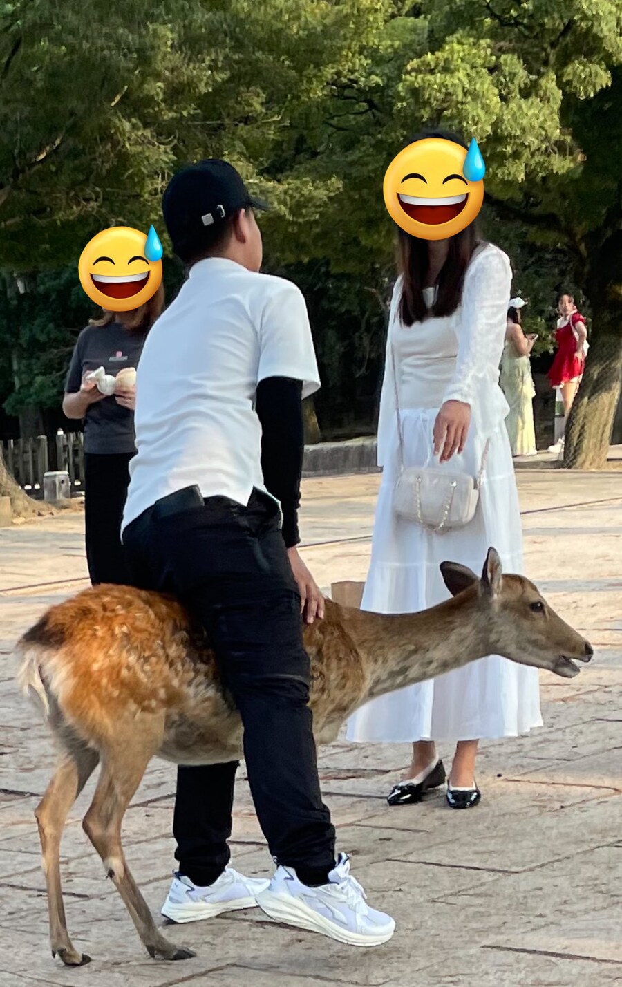 어느 일본 국회의원이 혐한대신 혐중하는이유_2.jpg