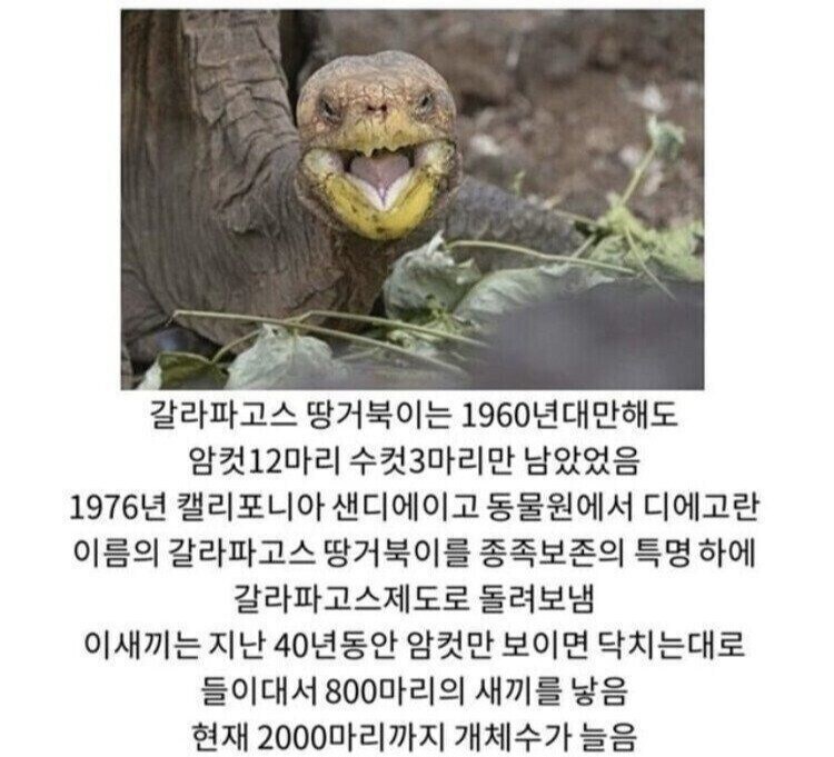 히토미같은 전개를 해버린 한 거북이_1.jpg