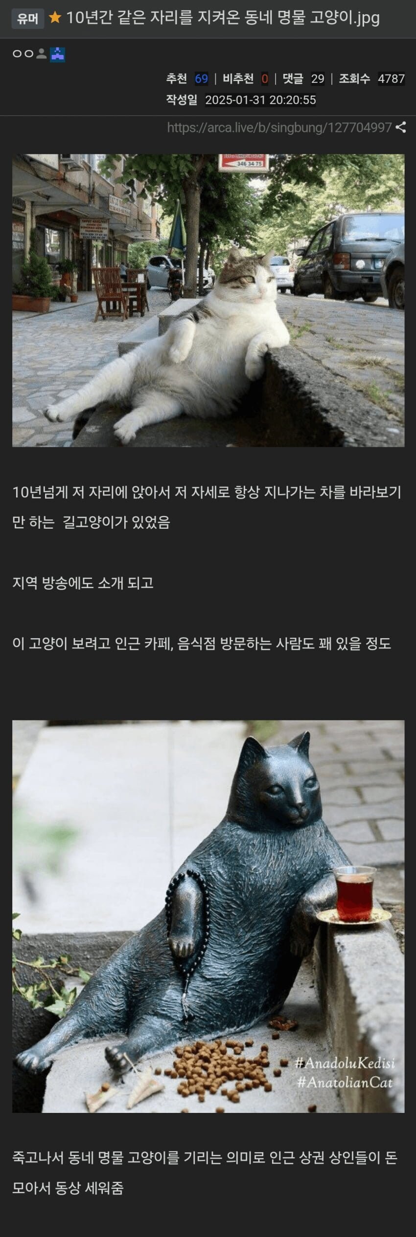 10년간 같은 자리를 지켜온 동네 명물 고양이.jpg_1.jpg