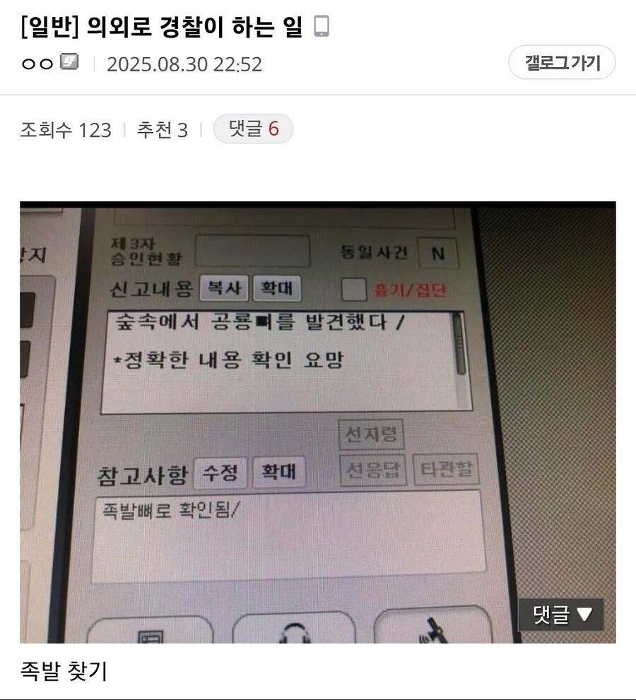 숲속에서 공룡뼈를 발견했다_1.png