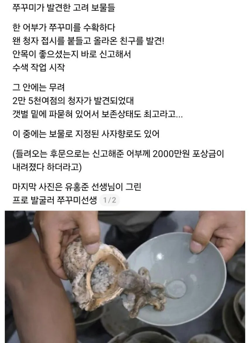 쭈꾸미가 발견한 고려의 보물_1.webp