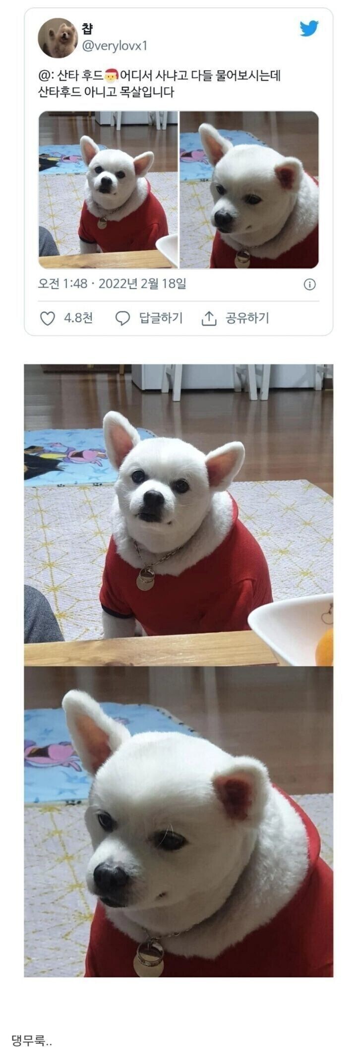 강아지 산타 후드 예쁘다고 어디서 샀는지 많이 물어보시는데.jpg_1.jpg