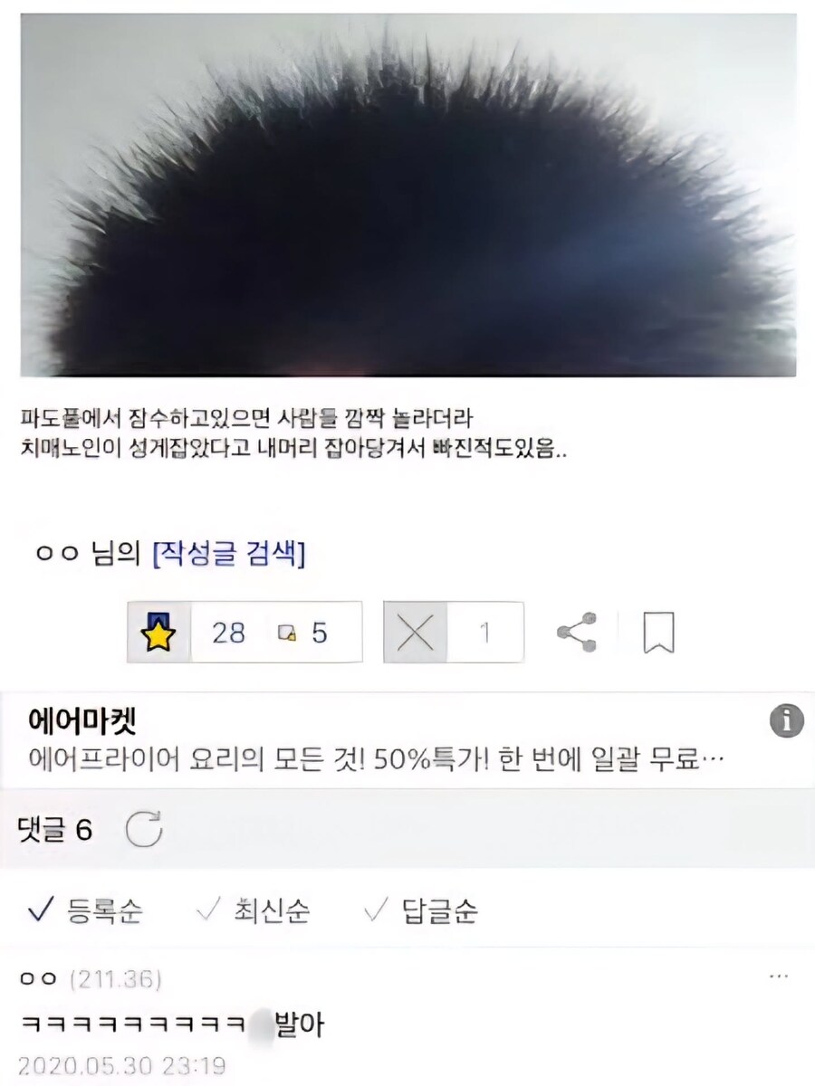 머리카락 헤어 스타일_1.jpg