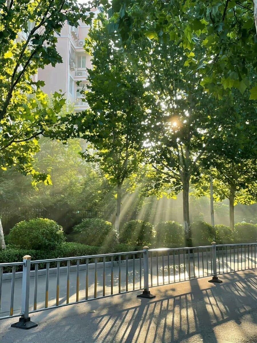 조퇴 반차할때 느끼는거_2.jpg