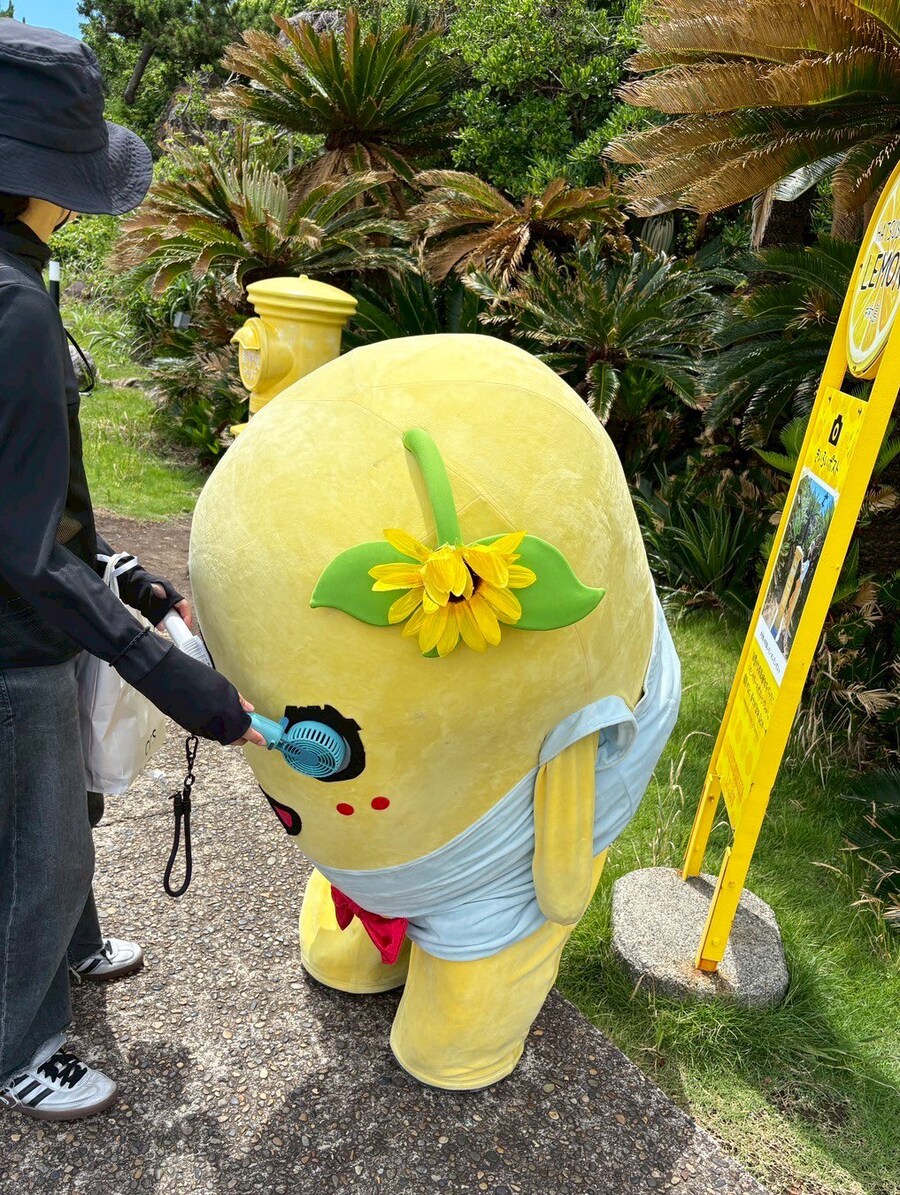 특정 계절, 특정 직업군에 생기는 희귀질병_1.jpg