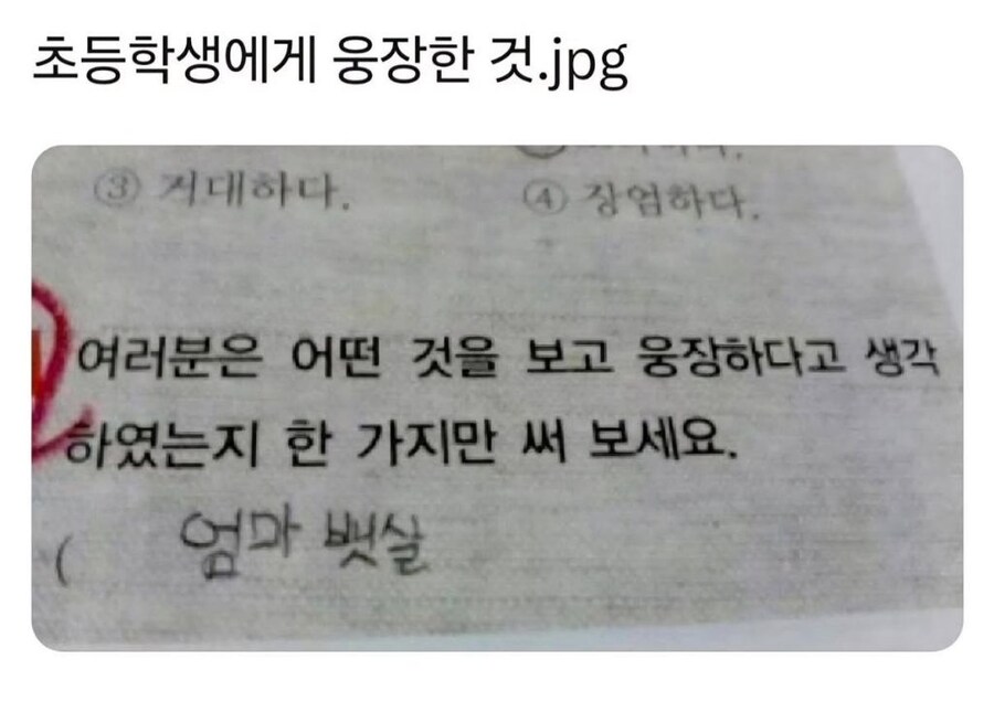 초등학생이 느낀 웅장함_1.jpg