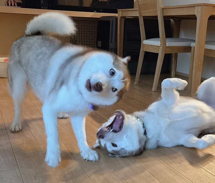 응 ? 뭐라고 ???_2.jpg