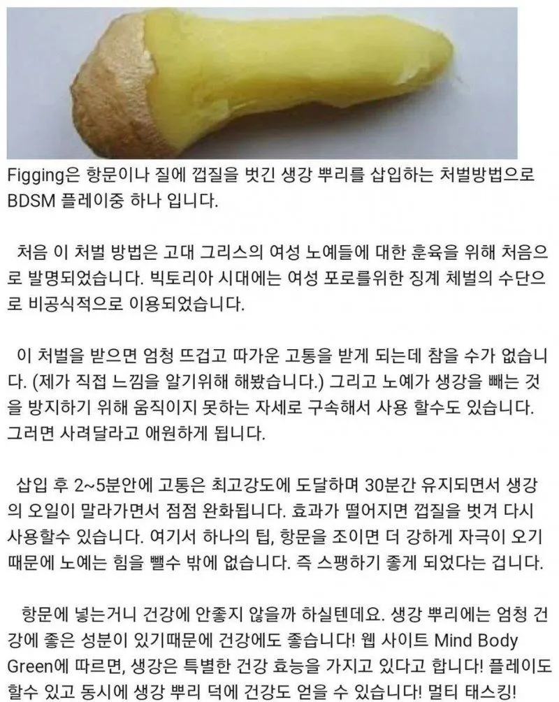 고대 그리스의 노예 훈육법_1.webp