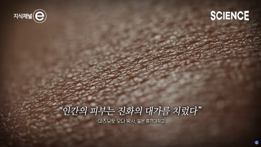 고릴라의 가죽은 인간의 피부처럼 연약하다는 말이 틀린 이유_3.png