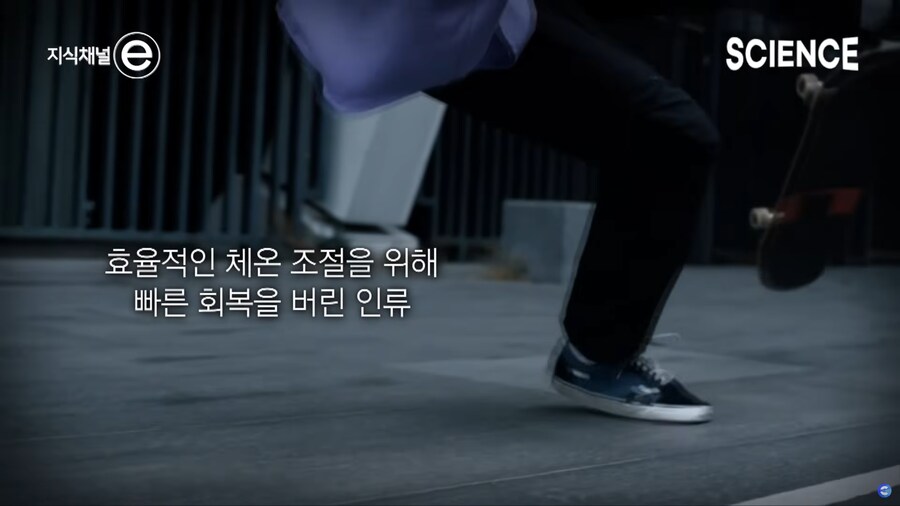 고릴라의 가죽은 인간의 피부처럼 연약하다는 말이 틀린 이유_4.png