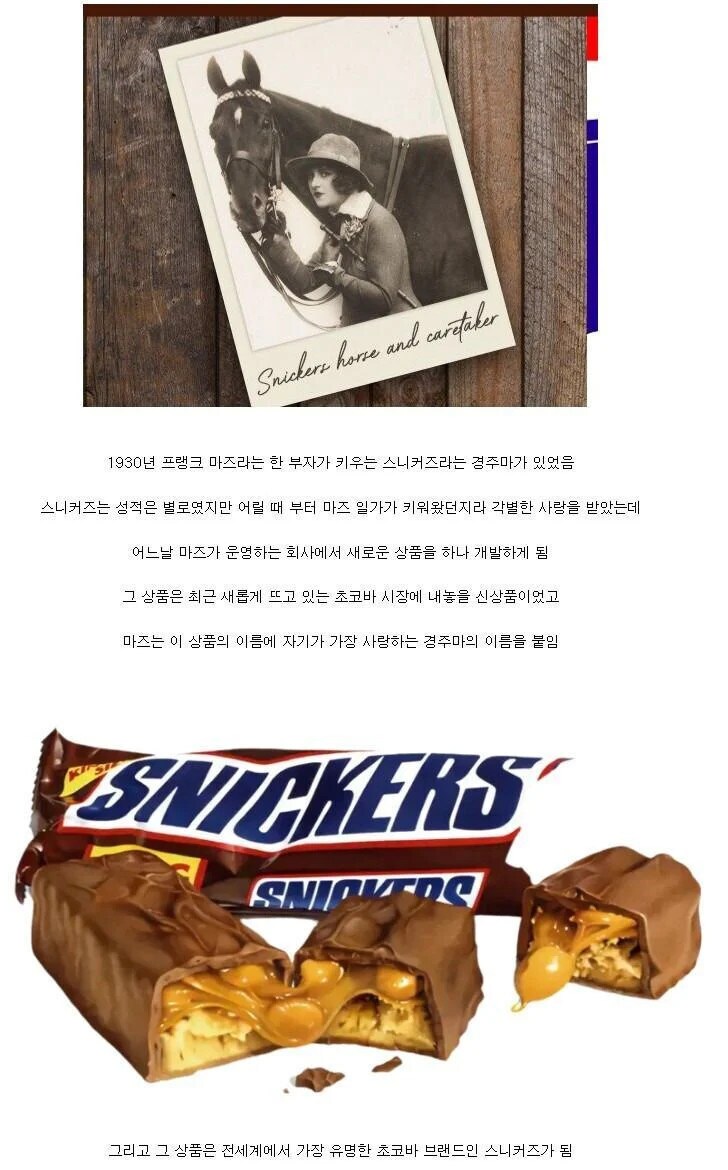 세계에서 가장 유명한 경주마_1.png