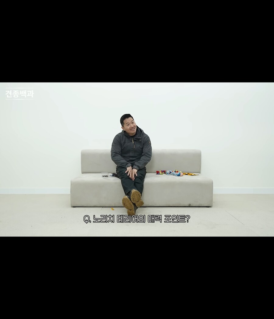 어느 견종의 매력포인트_1.jpg