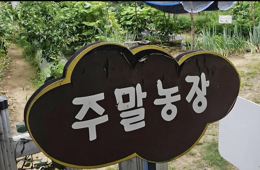 트릭컬)로네야 꼬까옷 받은거 축하해_3.jpg
