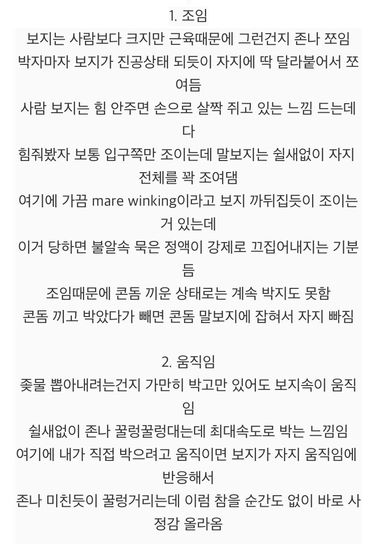 말이 사람보다 좋은 이유_2.jpg