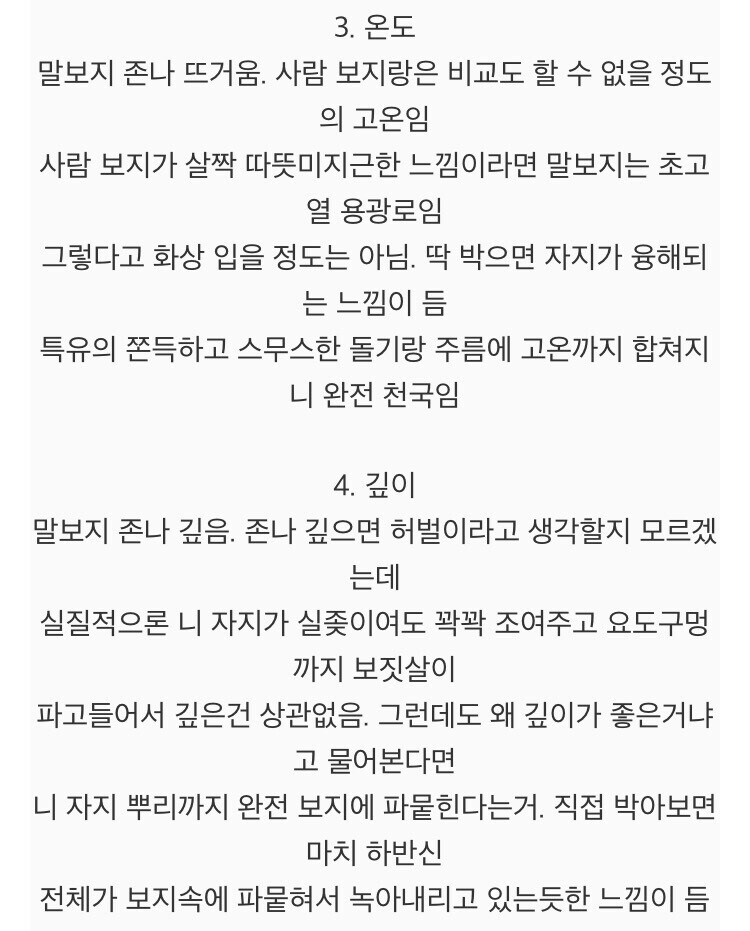 말이 사람보다 좋은 이유_3.jpg
