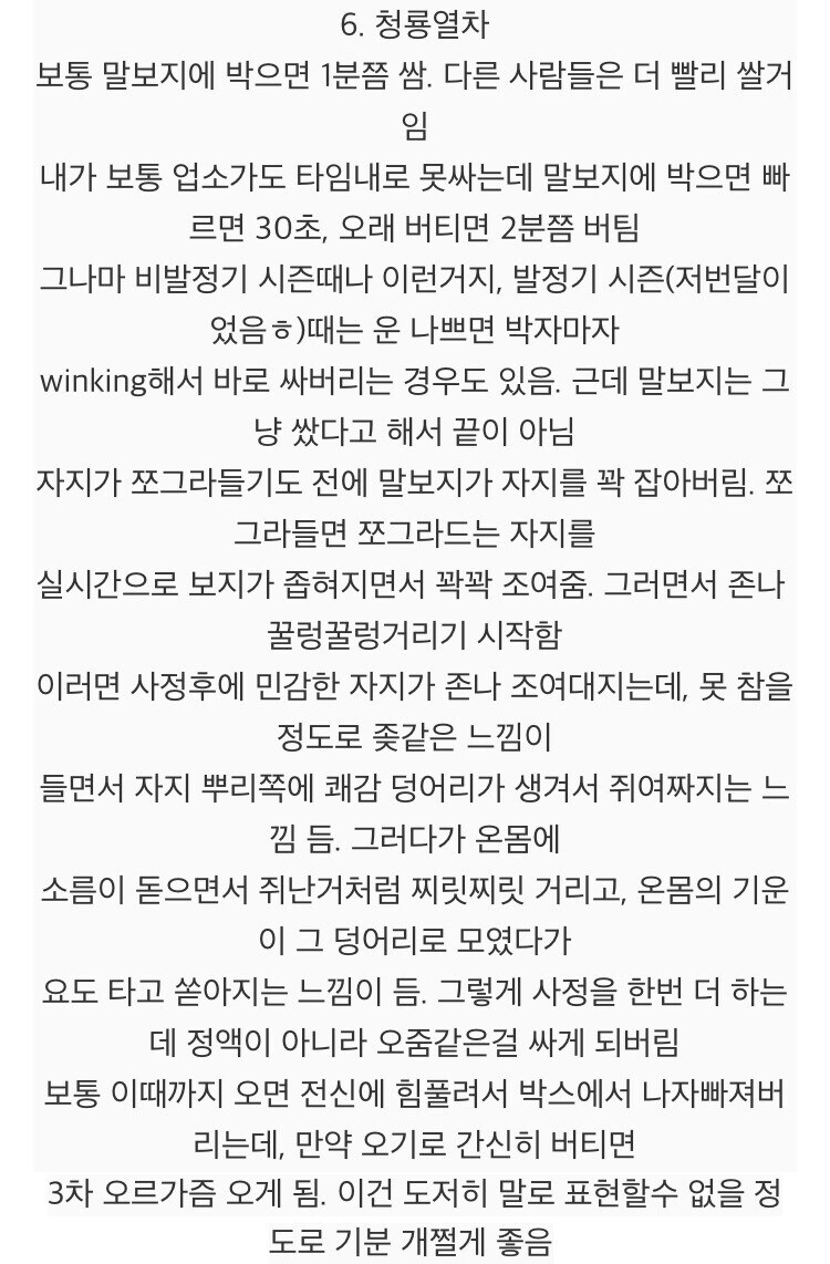 말이 사람보다 좋은 이유_5.jpg