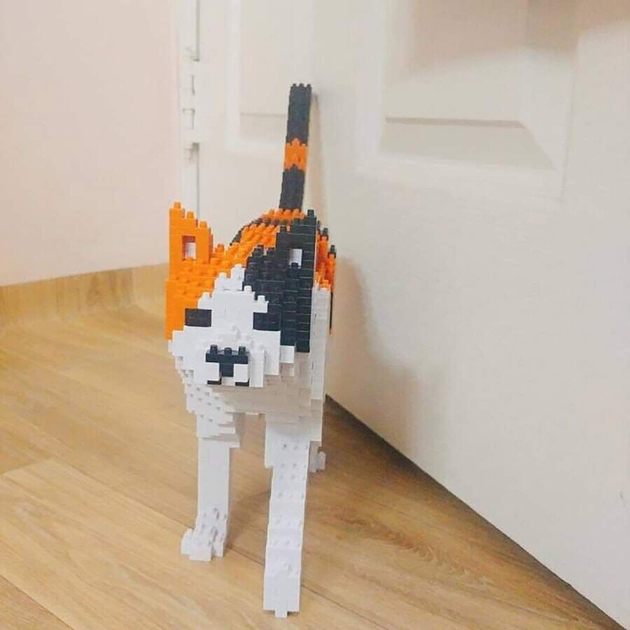 고양이를 너무 키우고 싶었던 동생_2.jpg