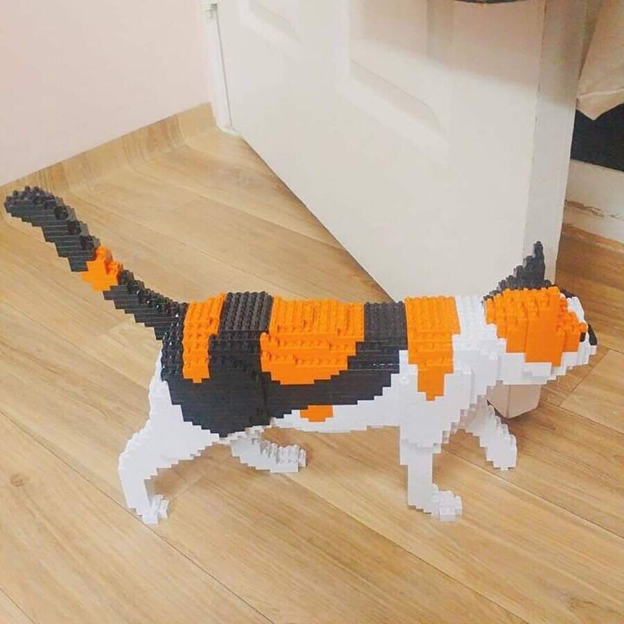 고양이를 너무 키우고 싶었던 동생_3.jpg