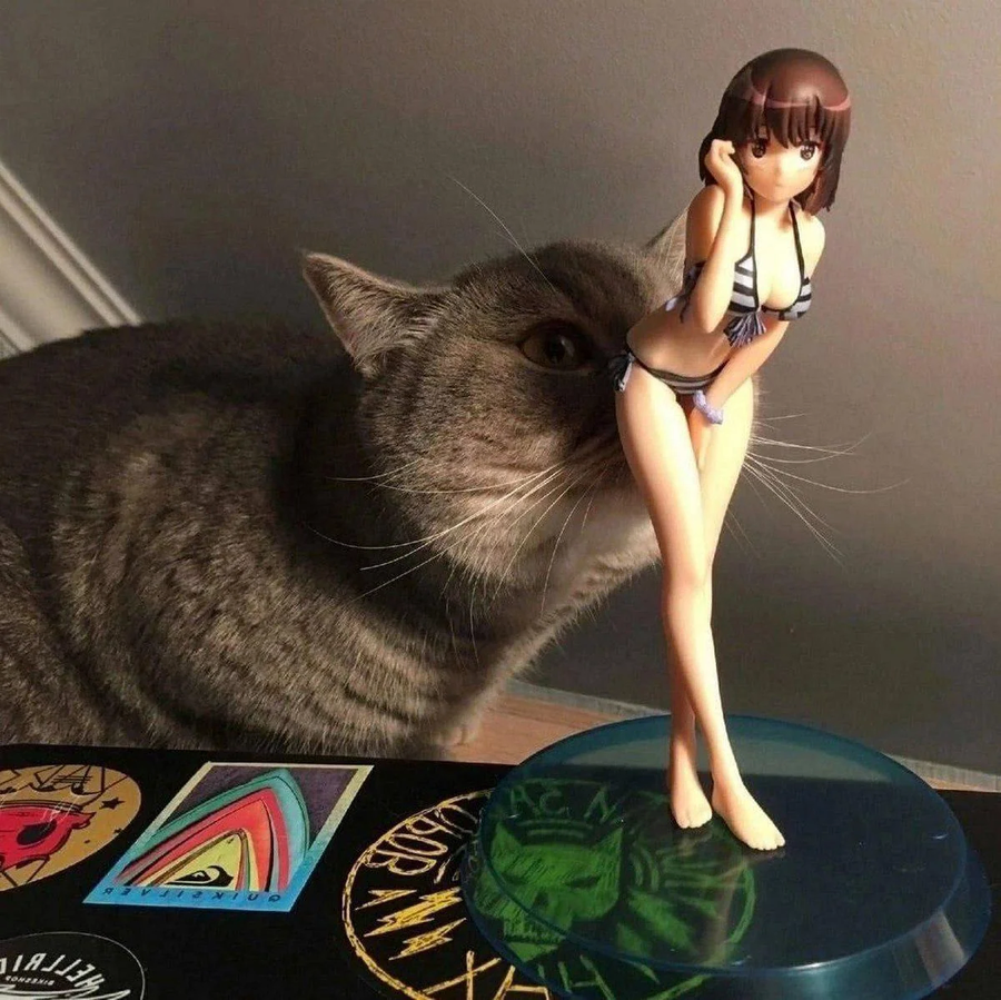 너 고양이 아니지?_1.webp