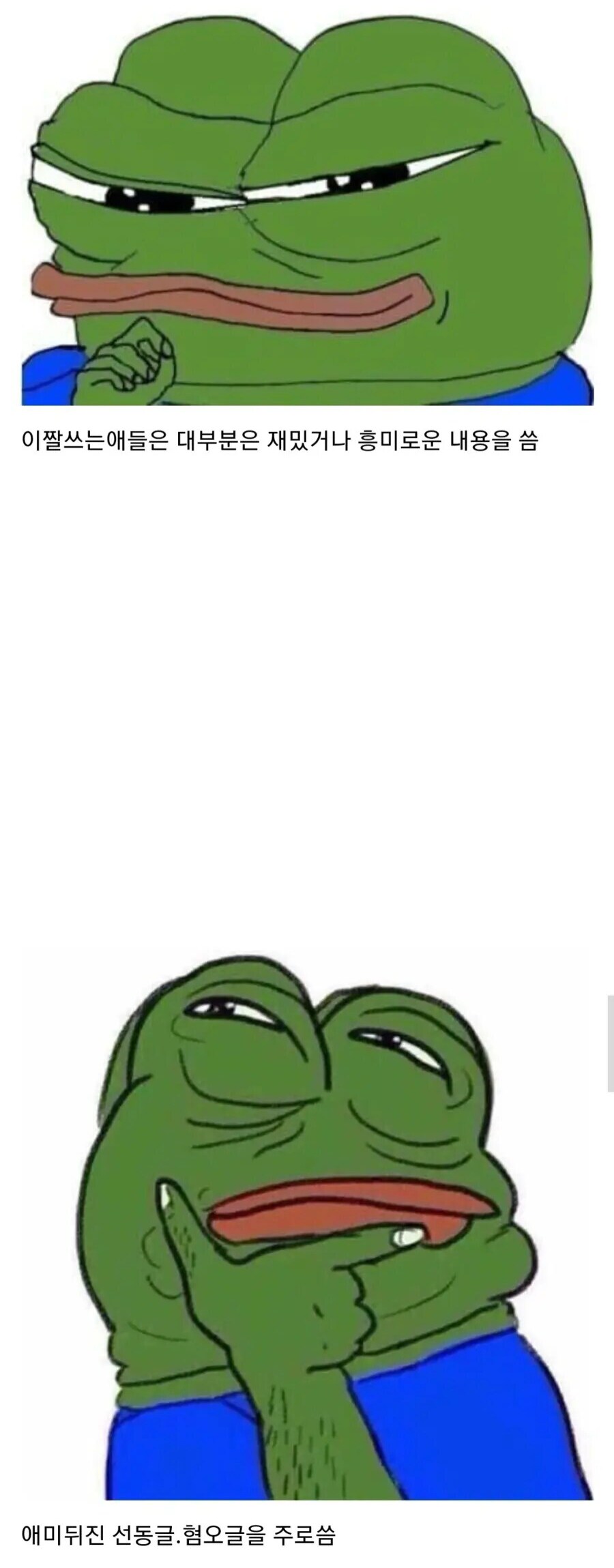 페페짤 특징_1.png