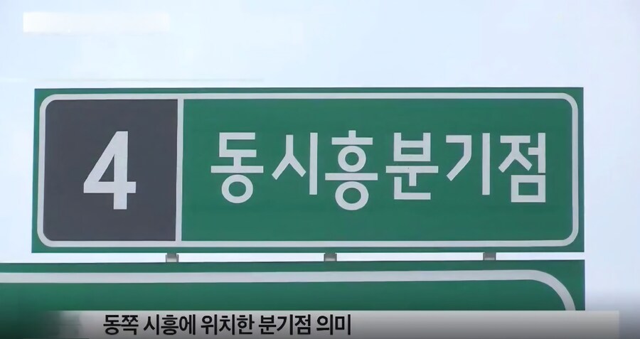 동시 흥분 기점.jpg_1.jpg