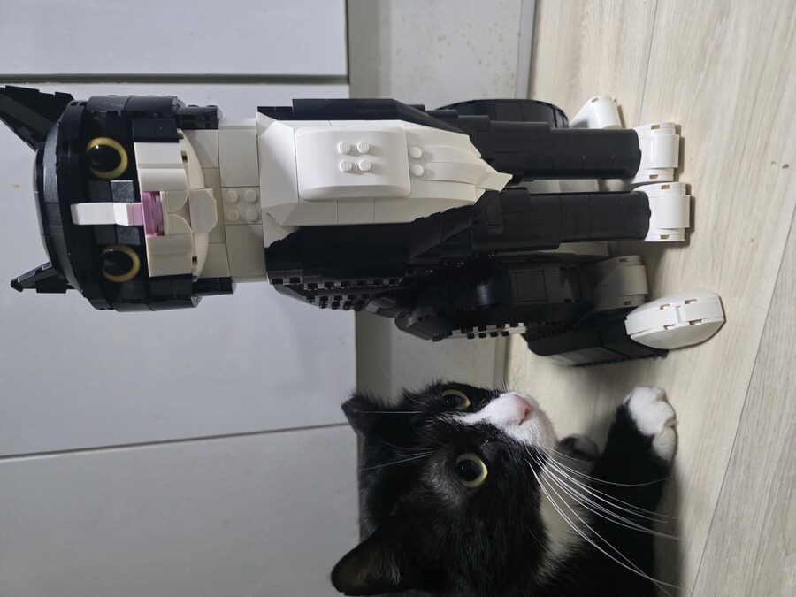 고양이) 레고 샀다_1.jpg