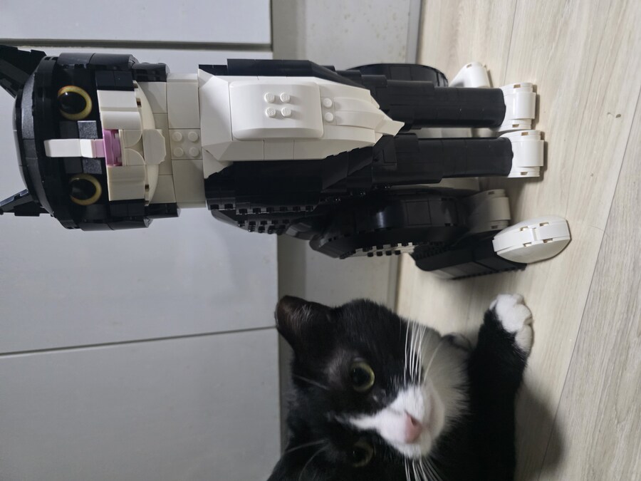 고양이) 레고 샀다_2.jpg