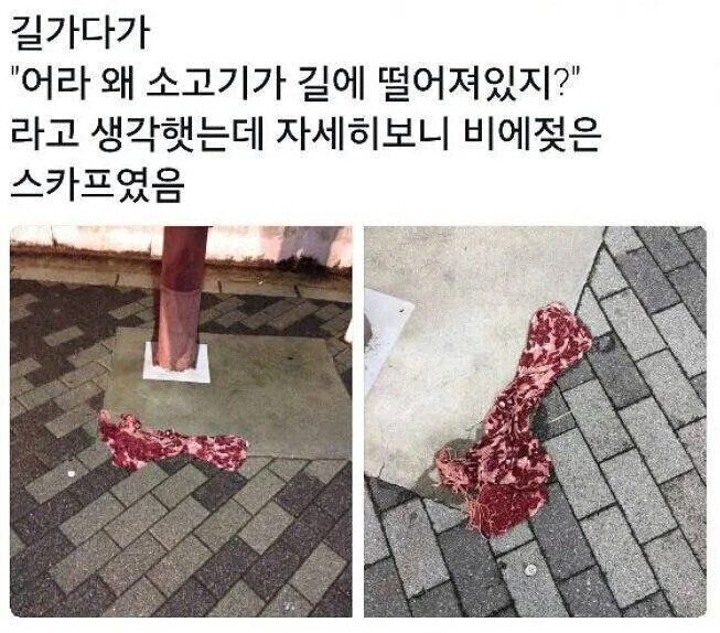 길가다 소고기 발견함.jpg_1.jpg