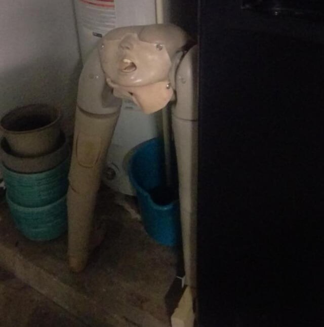저주받은 이미지 10장_4.jpg