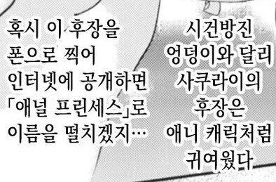 애니 캐릭처럼 귀여웠다_1.jpg