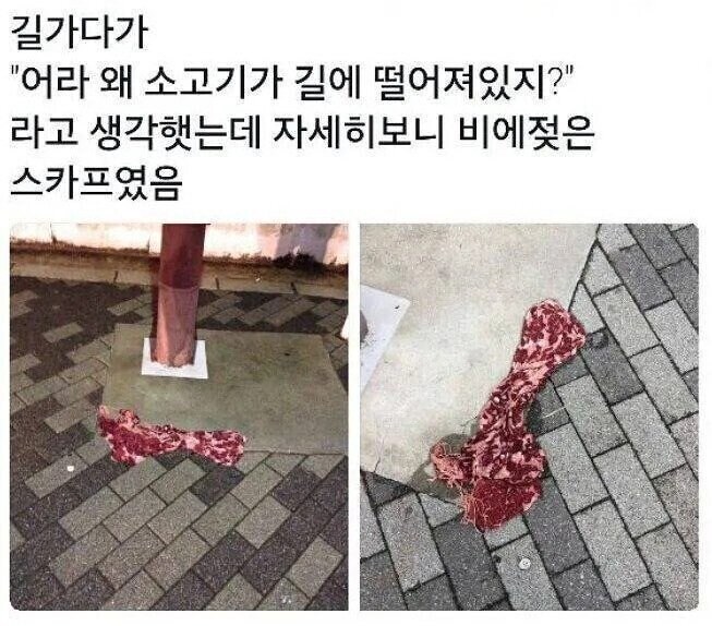 길가다 소고기 발견함.jpg_1.jpg