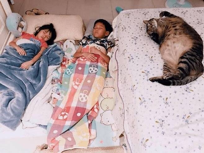 고양이의 조기교육의 결과가 충격적입니다..._1.jpg